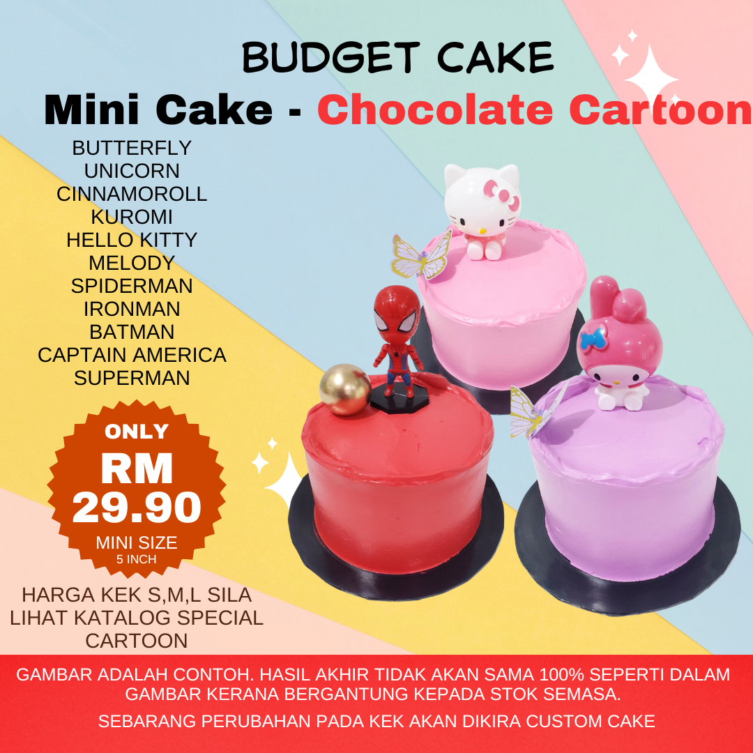 Mini Cake - Chocolate Cartoon