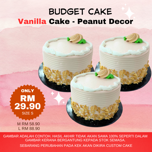 Sponge Budget Cake - Peanut Decor